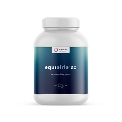 equielite GC