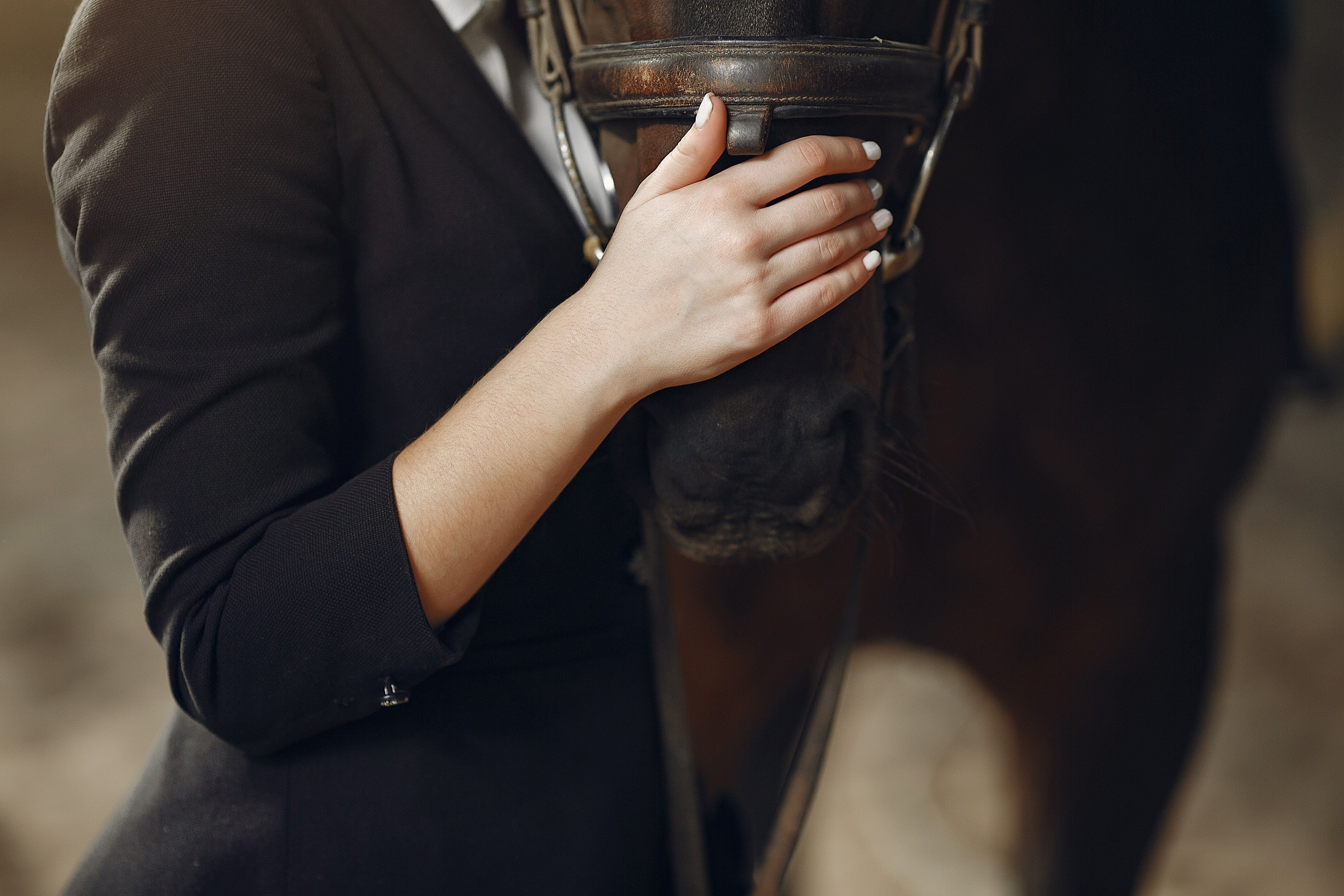 Verzorgen van je paard: tips voor beginners