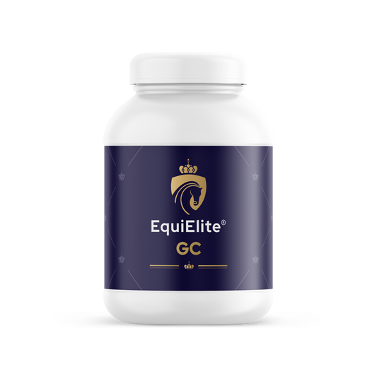 EquiElite GC ondersteunen van maag en darm