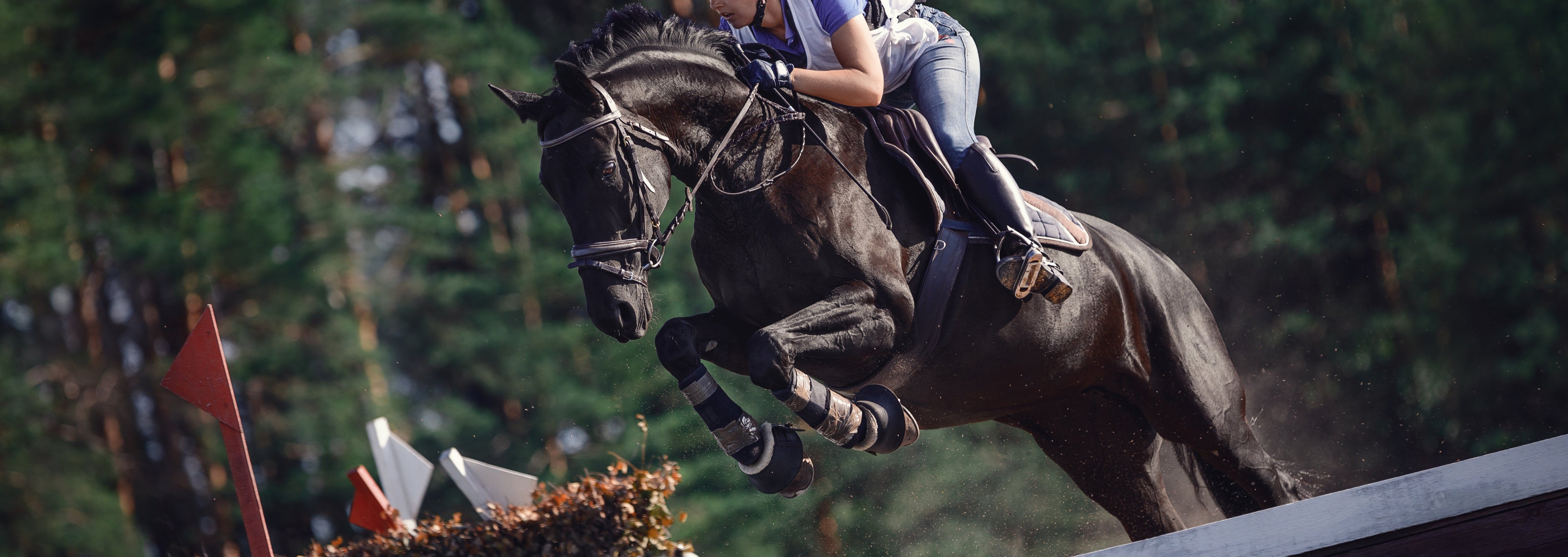 EquiElite - Paarden Supplementen - Sportpaarden - Paarden